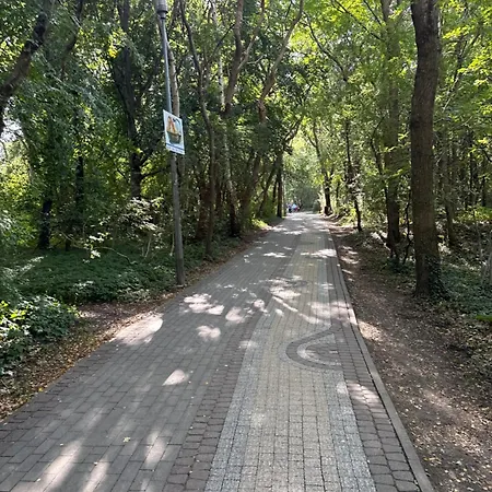 Tuwypoczywam - 62 1c Z Klimatyzacja I Miejscem Na Dachu Apartman *